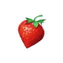 Strawberrynet